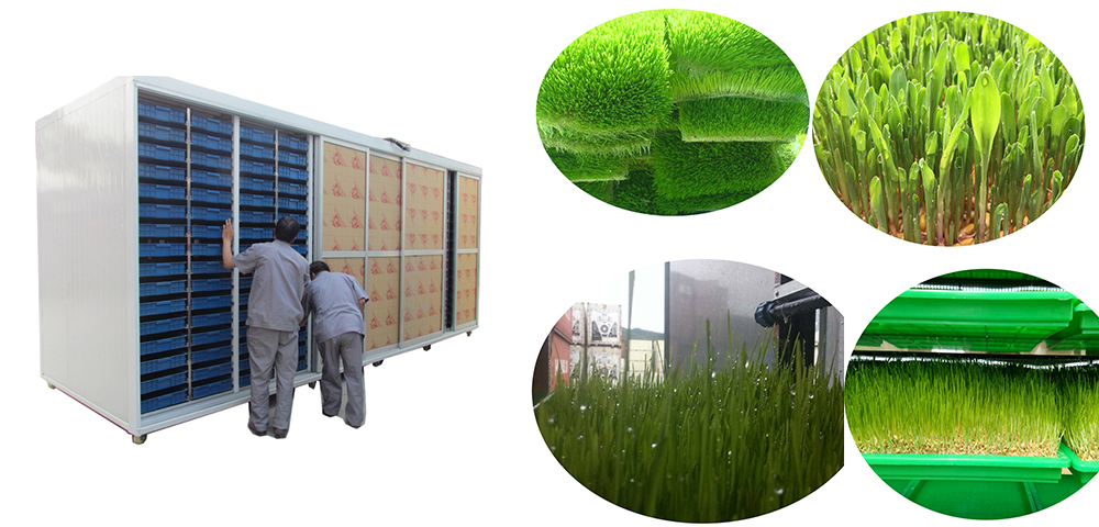 Hydroponic fodder machine|fodder machine|grass growing machine|barley fodder machine|fodder container|hydroponic container
