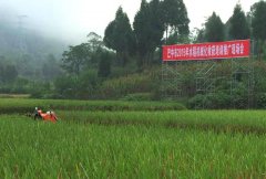 We demonstrate our rice harvester in Bazhong city