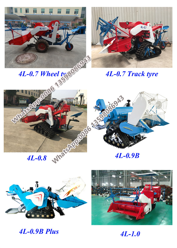 1650447051168004.jpg models for option.jpg