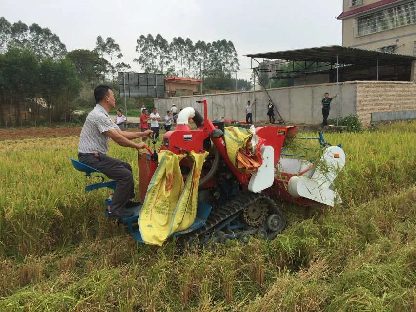 Our small wheat harvester arrived Italy